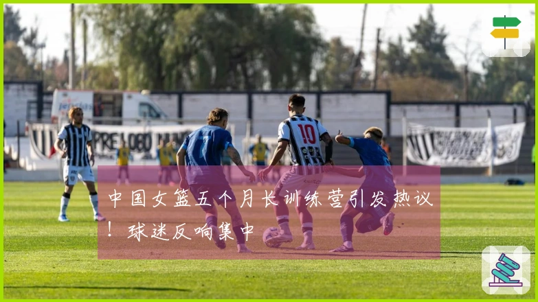 中国女篮五个月长训练营引发热议！球迷反响集中