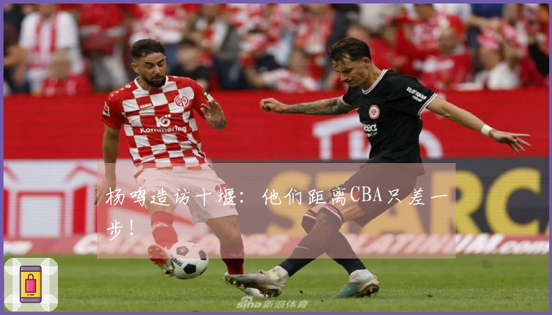 杨鸣造访十堰：他们距离CBA只差一步！